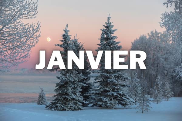 Le planning de&nbsp;Janvier