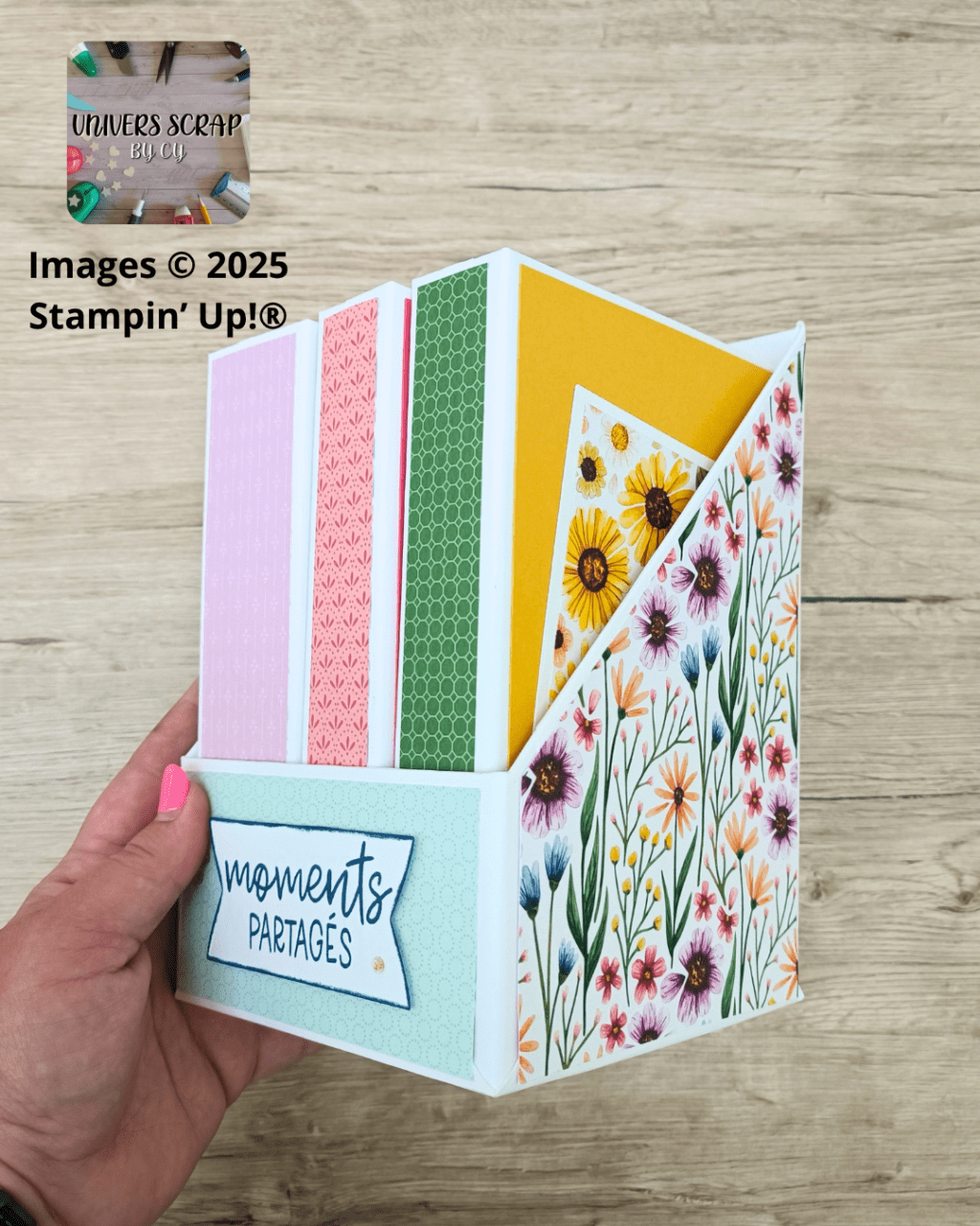 Série de Minis avec boîte et support de&nbsp;rangement